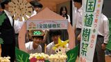 来年5月26日に行われる全国植樹祭に向け岡山県庁にカウントダウンボード 工業高校生徒がデザインと制作|TBS NEWS DIG