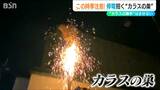 この時季に急増「針金やハンガーが停電の原因に」カラスの巣の撤去作業を公開|TBS NEWS DIG