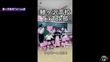 廃校の危機救うのは“TikTok”⁉　全国でも珍しい「TikTok部」が“りんご娘”とともにする活動とは…？|TBS NEWS DIG