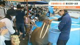 新型コロナ第7波拡大も…国内観光は回復の兆し 旅行会社の売り上げ3倍超 | 大分のニュース|OBS NEWS|大分放送