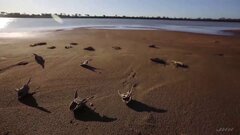 今年の世界の平均気温「観測史上最高」ほぼ確実に| TBS CROSS DIG with Bloomberg