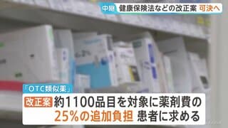 出産費用無償化などを含む健康保険法改正法案　衆議院通過の見通し　ロキソニンやアレグラなど約1100品目は自己負担25％追加へ| TBS CROSS DIG with Bloomberg