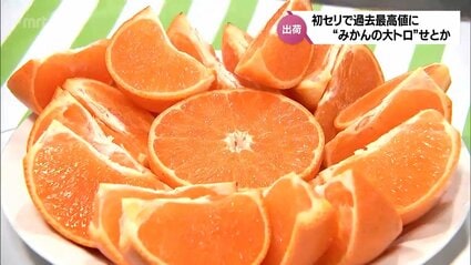 みかんの大トロ”とも呼ばれるたっぷりの果汁ととろけるような食感 