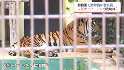 飼育員が撮影した動物たちのベストショットは? 宮崎市フェニックス自然