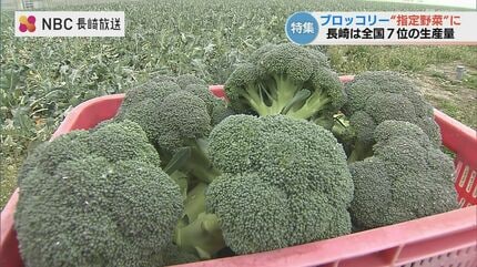 ブロッコリー2026年度から“指定野菜”に追加 生産者おすすめの食べ方