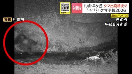 3月3日発送予定 ぴよくまになりますm(_ _)m クマ予報』的中…札幌・羊ヶ丘に推定1.3mほどのクマ出没か「羊ヶ丘