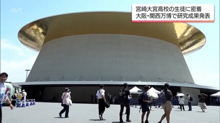 かましていかんと！」大阪・関西万博で未利用魚「シイラ」の活用方法を
