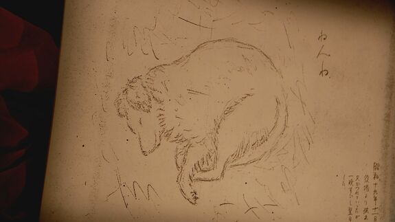 「毛皮をお國に」愛犬を差し出した少女　抗えない同調圧力、戦争に利用された「物言わぬ」動物たち　#きおくをつなごう #戦争の記憶|TBS NEWS DIG