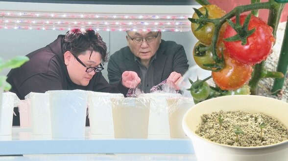 【魔法の土】水は通常の5分の1、虫の心配なし『土』を変えれば世界が変わる…札幌の親子ベンチャーが挑む農業革命に湾岸諸国「食問題を解決できるかも」　|　北海道のニュース｜HBC北海道放送