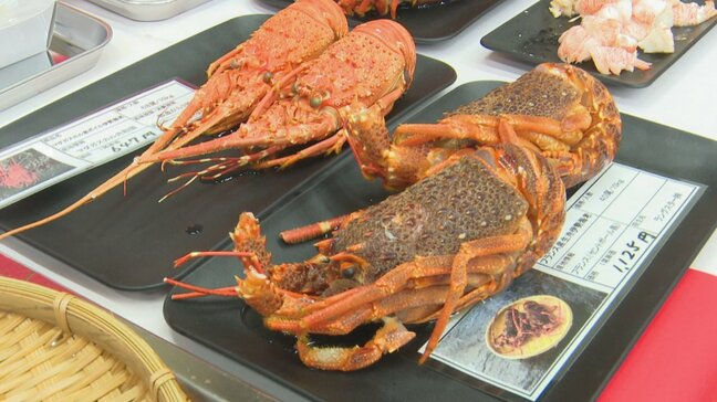 海産物の多くが高値になっている今年　年末年始はズワイガニが狙い目！　甲府市・地方卸売市場|TBS NEWS DIG