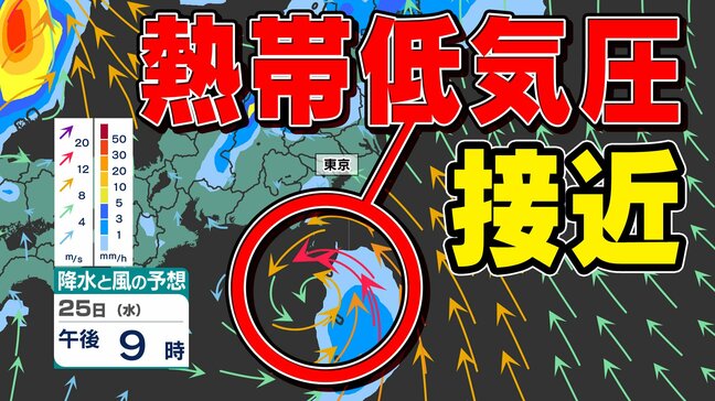 【東京首都圏 熱帯低気圧接近】26日(木)最接近 近畿・東海も大気の状態不安定【雨・風・発雷確率シミュレーション25日(水)26日(木)・警報の可能性がある地域は】関東・東海・近畿|TBS NEWS DIG