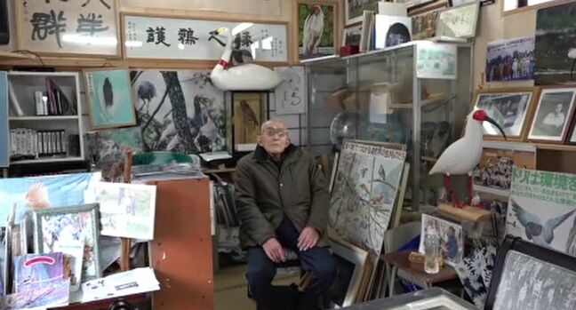 特別天然記念物「トキ」能登で放鳥へ　70年近くトキ保護活動を続ける男性(99)は再び大空を舞う日を待つ|TBS NEWS DIG