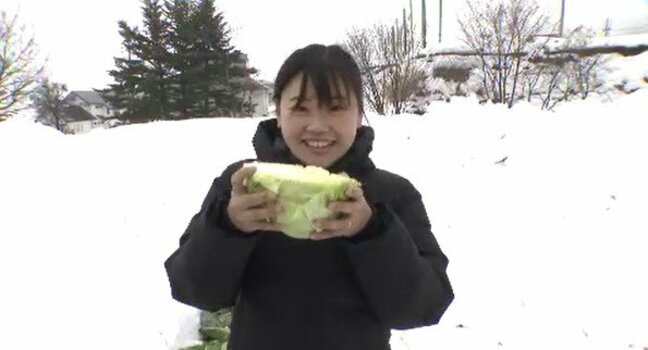 フルーツトマト並みの糖度と葉の軟らかさが特徴…取材記者も思わず「あまっ…!」雪の下でじっくりと熟成した「雪中キャベツ」ショベルカー使った収穫が最盛期、シーズン中に2000個売り上げる道の駅の客足は能登半島地震の影響で半分以下に|TBS NEWS DIG
