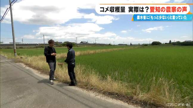 小泉農水大臣の統計改革｢作況指数公表廃止｣を発表 コメ問題はどう変わる? 愛知の農家の声を取材｢新しい施策に期待かな｣|TBS NEWS DIG