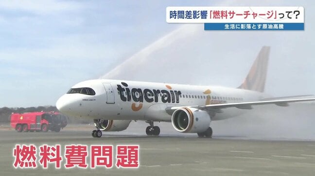 空の旅にも異状あり…生活に影落とす原油高騰　時間差で「夏以降」まで影響長引く？|TBS NEWS DIG