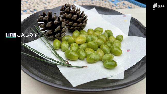 「量も沢山で良いものができています」秋の味覚...ギンナンの収穫はじまる=静岡市清水区|TBS NEWS DIG