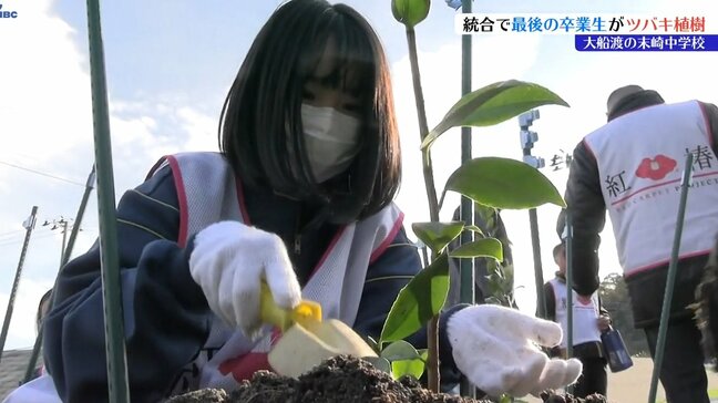 2025年3月で閉校の大船渡市立末崎中学校3年生　卒業を記念して、市の花であるツバキを植樹|TBS NEWS DIG