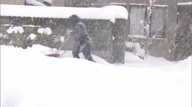 年越し寒波で大雪警報７市町村　1日で積雪40センチ「すごいね、青森はやっぱり」　青森県|TBS NEWS DIG