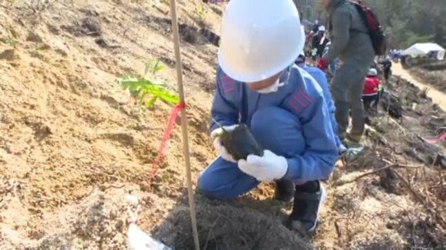 「息の長い戦いになると思いますが…」今治山林火災の発生からまもなく1年 地元住民らが植樹 愛媛|TBS NEWS DIG