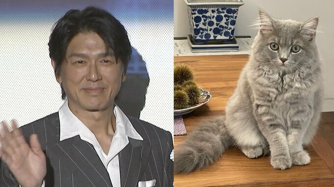 【 ねこ 】高橋克典さん　愛猫ミルリィが「は、初めて返事してくれた」感涙の投稿|TBS NEWS DIG