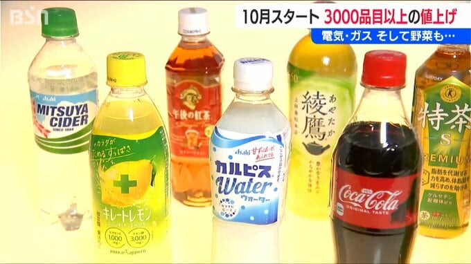 値上げの10月　3000品目を超える食品に加え補助金減額・終了で電気・ガスも…節約の秋　|　新潟のニュース・天気｜BSN NEWS｜BSN新潟放送