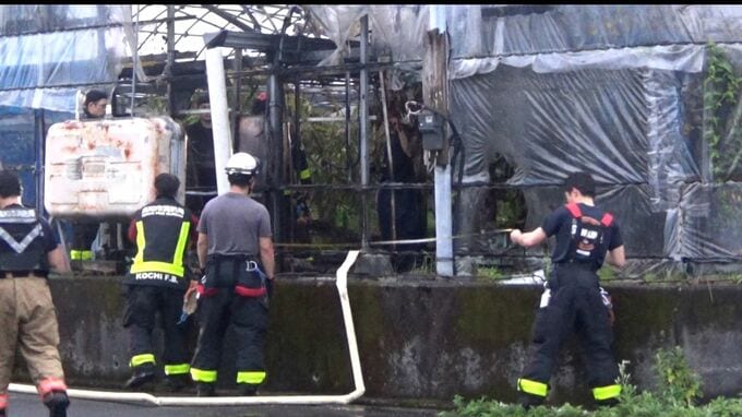 早朝にビニールハウスの一部を焼く火事　けが人なし　警察「漏電によるものかとの報告受けている」【高知】　　|　高知のニュース・天気｜KUTV NEWS | KUTVテレビ高知