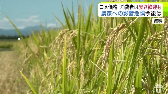 “コメ余り”で「苦渋の決断」コメ農家への前渡し金「まっしぐら」「はれわたり」はいずれも1万円に　JAが示した概算金から3800円下回る判断に　一方で気がかりなコメの価格　消費者は安さ歓迎も農家への影響危惧|TBS NEWS DIG