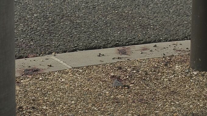 軽乗用車とバイクが衝突　バイクに乗っていた男子中学生2人死亡　車運転の男を過失運転傷害の疑いで現行犯逮捕　大阪・守口市|TBS NEWS DIG