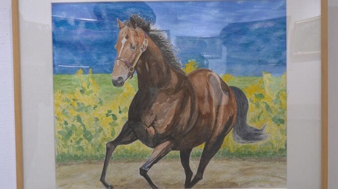 最高齢受賞者は96歳　かりゆし美術展|TBS NEWS DIG