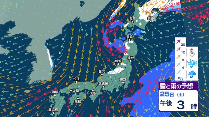 25日頃から冬の寒さ “季節の逆戻り” …週明け27日 28日は低気圧や前線で荒天か【2週間天気】春のような暖かさ続かず…一方でスギ花粉飛散始まる【雪と雨のシミュレーション】|TBS NEWS DIG