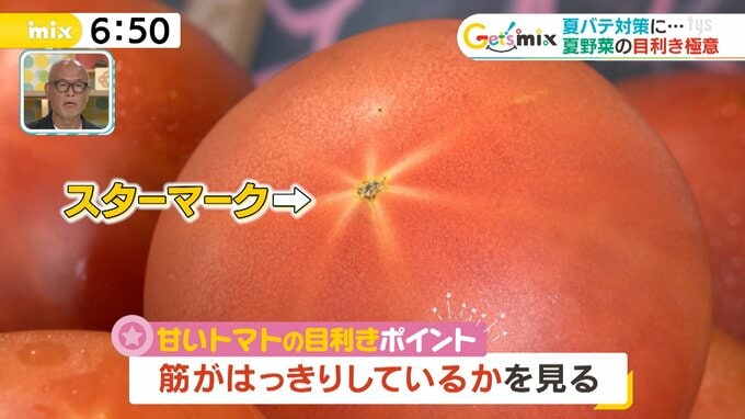 プロ直伝！おいしく夏を乗り切る「夏食材の目利き」の極意|TBS NEWS DIG