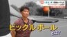記者もハマった！人気急上昇中「ピックルボール」とは！　|　愛媛のニュース - Nスタえひめ｜あいテレビは6チャンネル