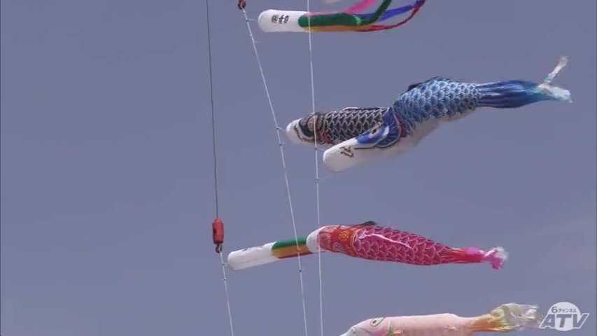 25メートル上空を泳ぐ鯉のぼり「大きくのびのびと自由に」 こどもの