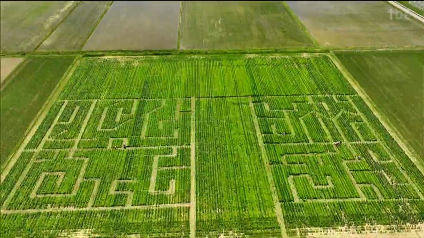 img_8c4e8ae35ca4758c9a8d2b36ad