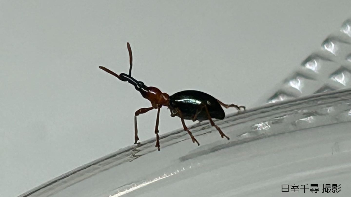 img_8c6871da42f8cb8e5c53e66d9a