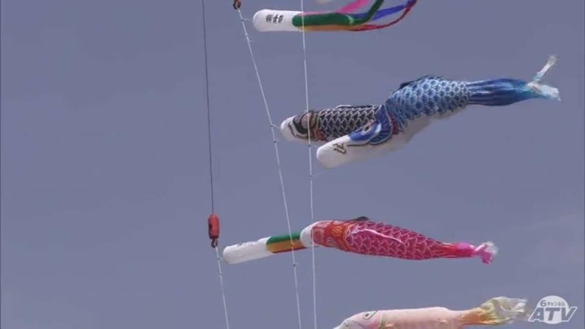 25メートル上空を泳ぐ鯉のぼり「大きくのびのびと自由に」 こどもの