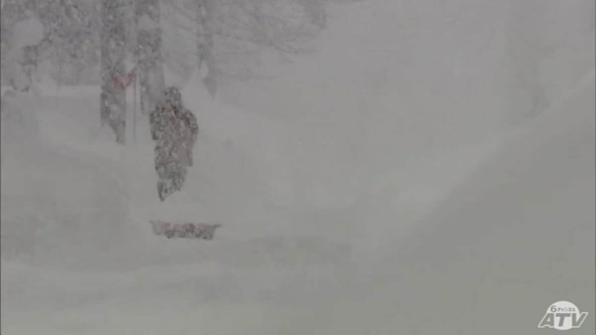 大雪で鉄道の運休100本超 今季最強最長寒波で県民生活に影響 青森県