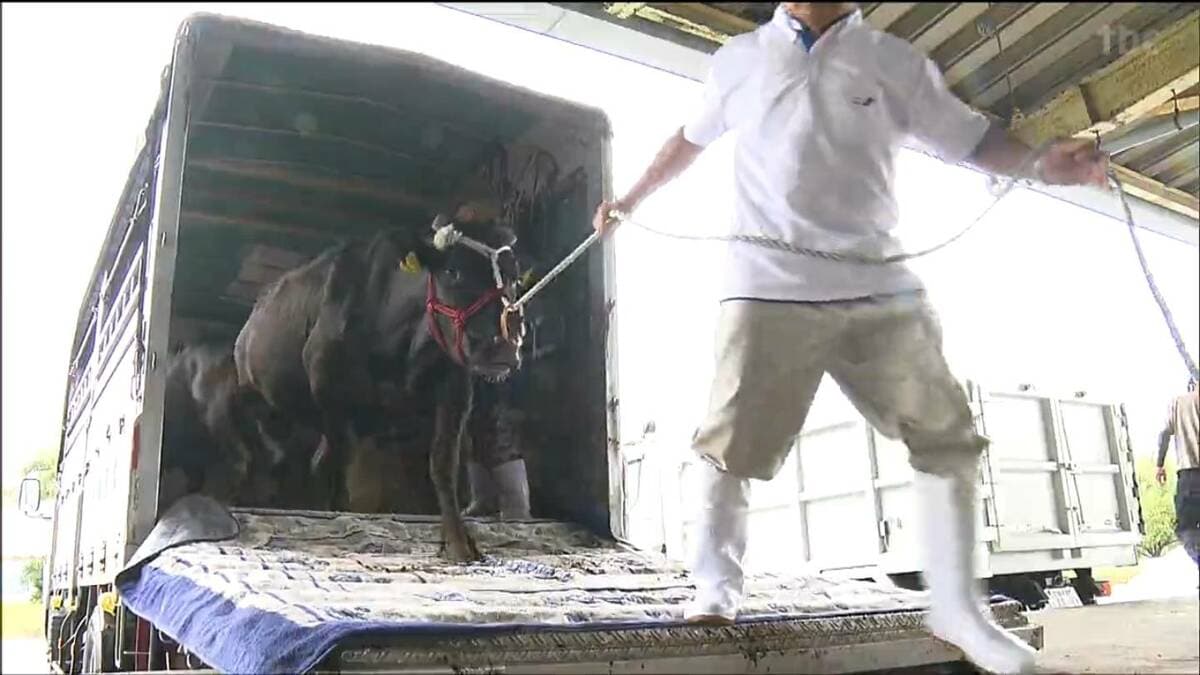 img_8cfbf4d86c82ea4aec92f3de1a