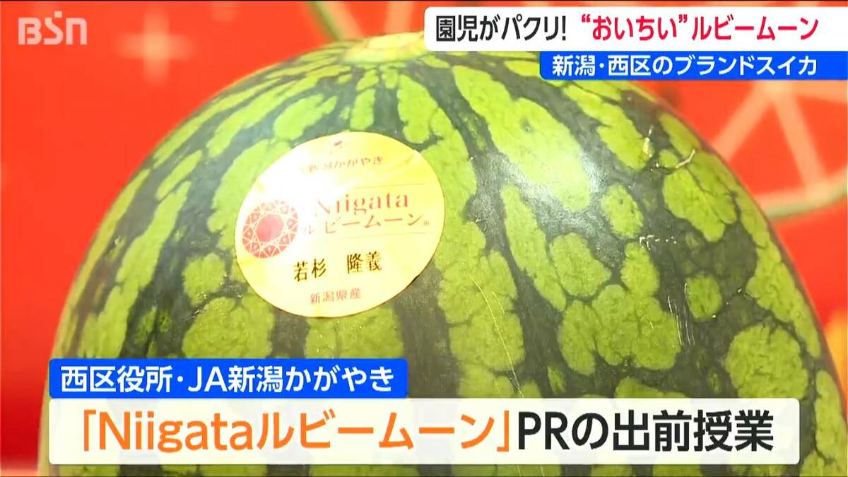 おいちい」 園児が夢中の食べ比べ 名前はスイカっぽくない？デビュー4
