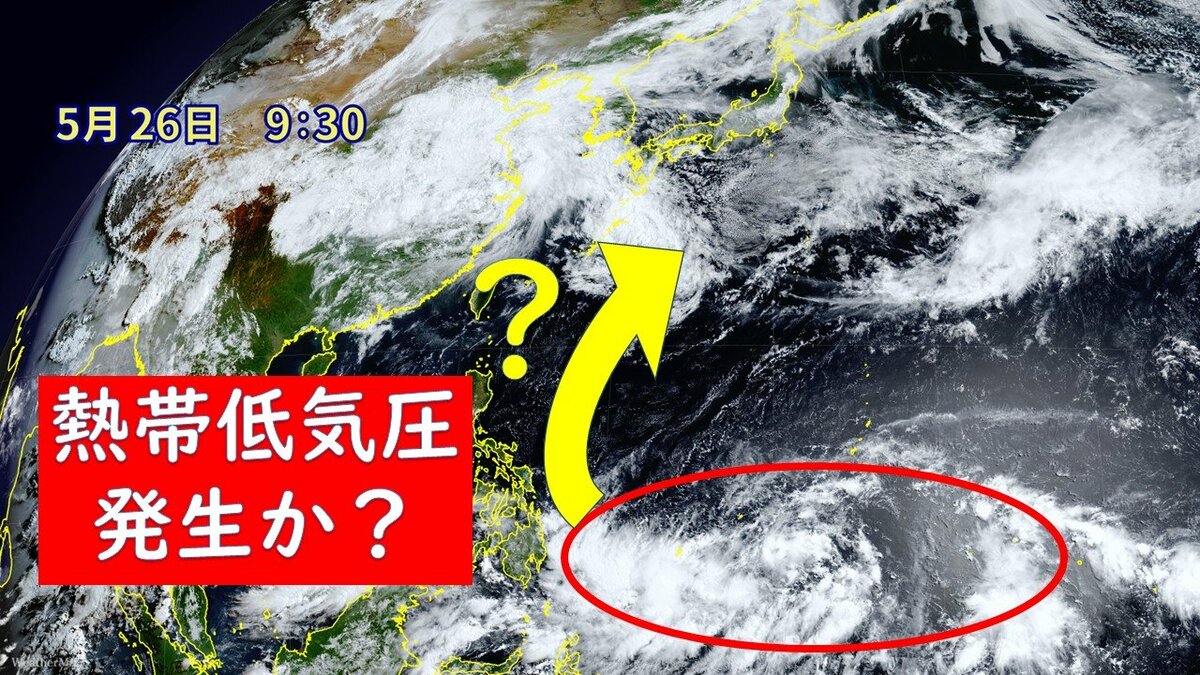 “台風の卵”発生か 台風＋梅雨前線で大雨のところも？最新の雨･風シミュレーション【熱帯低気圧情報】