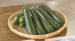 山口県産ズッキーニを売り出せ！「全国に発信できる産地づくりを」流通関係者招き試食会　|　山口のニュース・天気・防災｜tys NEWS｜ｔｙｓテレビ山口