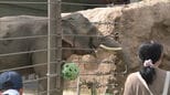 「障害のある子供たちに楽しんでほしい」貸し切りの動物園と科学館・プラネタリウムに招待　福岡市|TBS NEWS DIG