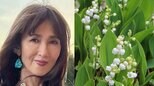 【 工藤静香 】　長女・Cocomiさんの24歳の誕生日を祝福　「５月生まれの皆様、幸せのベルがあなたに響きますように」　５月生まれのファンにもメッセージ|TBS NEWS DIG