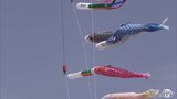 ２５メートル上空を泳ぐ鯉のぼり「大きくのびのびと自由に」 こどもの成長願う　|　ATV NEWS│青森のニュース│ATV青森テレビ