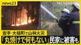 岩手・大槌町の山林火災　早朝から消火活動も“鎮火のめど”立たず…民家1棟を含む7棟の建物に被害 「丸焼け何もない」住民が語る悲痛な思い…【news23】|TBS NEWS DIG