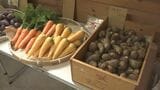 週4日はセルフ形式、農家直営の“八百屋”が人気　「野菜ができるまでを知ってほしい」月に1度は生産者自ら店頭に　|　BSSニュース | BSS山陰放送