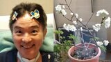 【ニャンちゅう】　声優・津久井教生さん　ベランダの「桜」が満開に　「実はこの桜はサクランボが実るのです♪」「いい色になった時に鳥さんに収穫されているのです」　【ＡＬＳ闘病】|TBS NEWS DIG