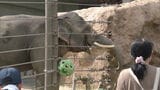 「障害のある子供たちに楽しんでほしい」貸し切りの動物園と科学館・プラネタリウムに招待 福岡市|TBS NEWS DIG