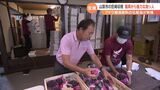 はるばる福岡からブドウ収穫のお手伝い 高齢化による農家の人手不足に強力な助っ人 | 山梨のニュース | UTYテレビ山梨
