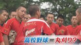 「丸刈り」規定は4分の1　変わる高校野球、厳しい規律は緩和傾向？|TBS NEWS DIG
